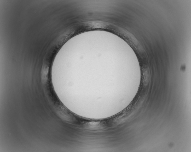 X0000116830406201001081442