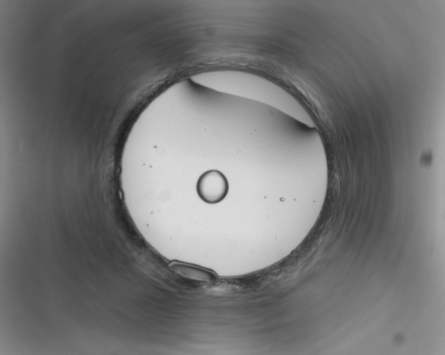 X0000116830407201001081442