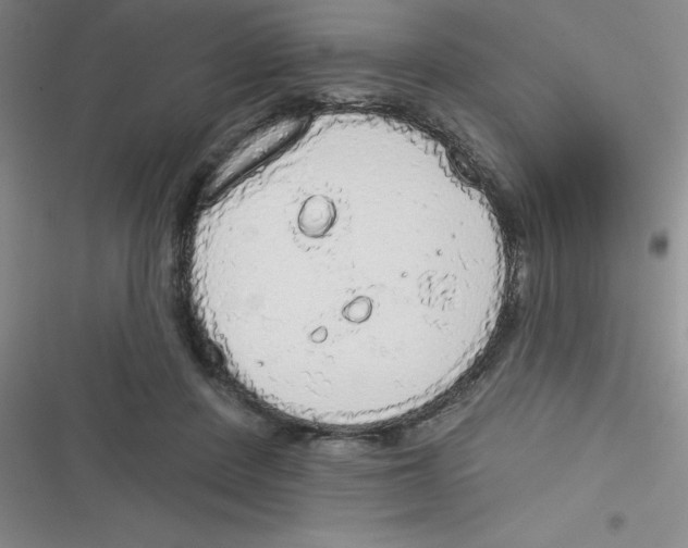 X0000116830408201001081442