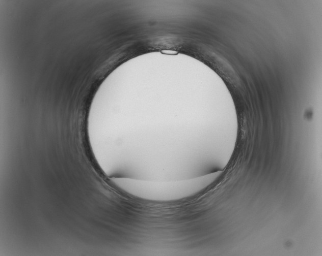 X0000116830409201001081442