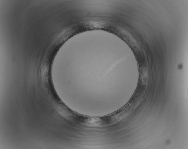 X0000116830410201001081442