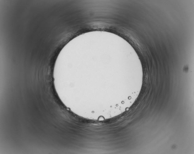 X0000116830411201001081442