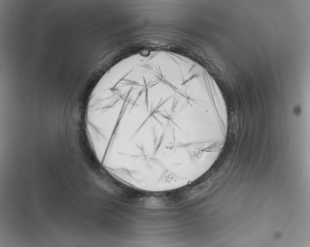 X0000116830412201001081442