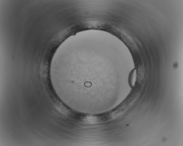 X0000116830413201001081442