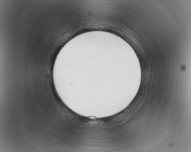 X0000116830415201001081442