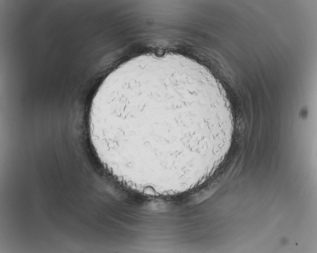 X0000116830416201001081442