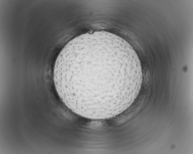 X0000116830418201001081442