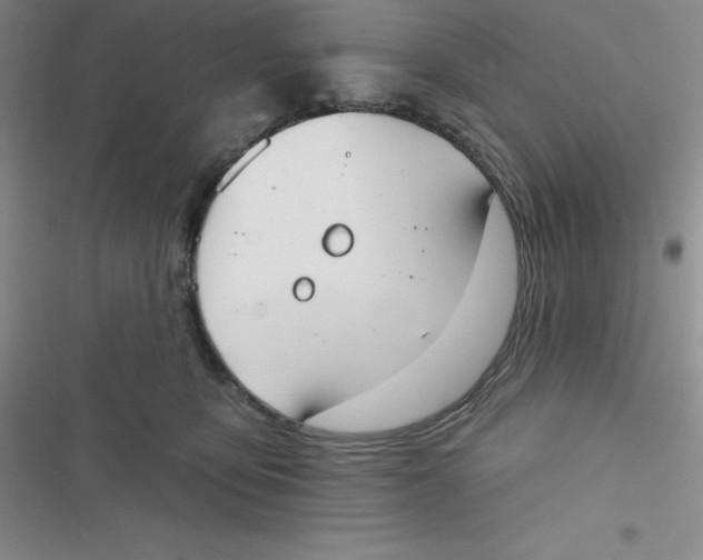 X0000116830419201001081442