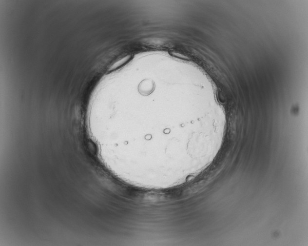 X0000116830420201001081442