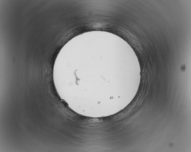 X0000116830421201001081442