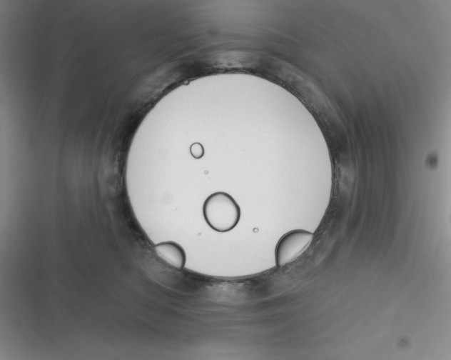 X0000116830422201001081442