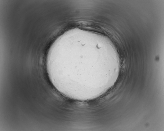 X0000116830424201001081442