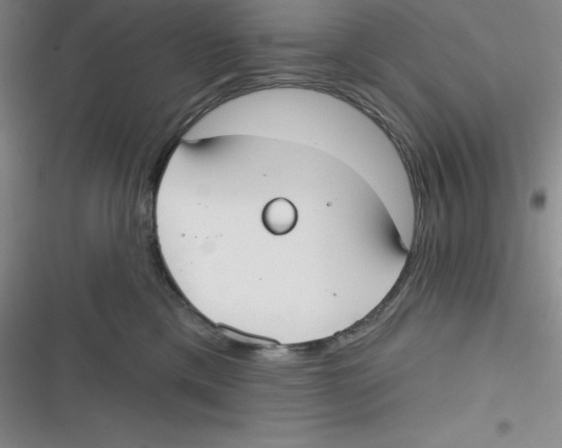 X0000116830425201001081442