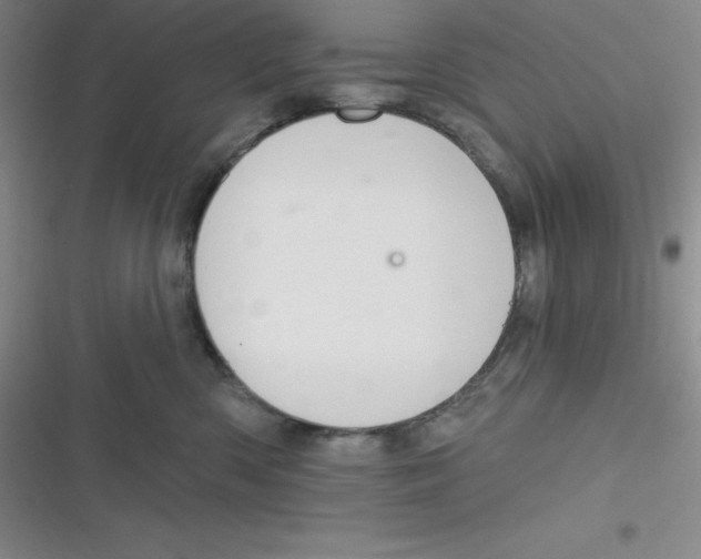 X0000116830426201001081441