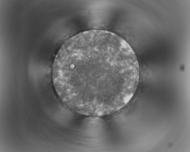 X0000116830427201001081441