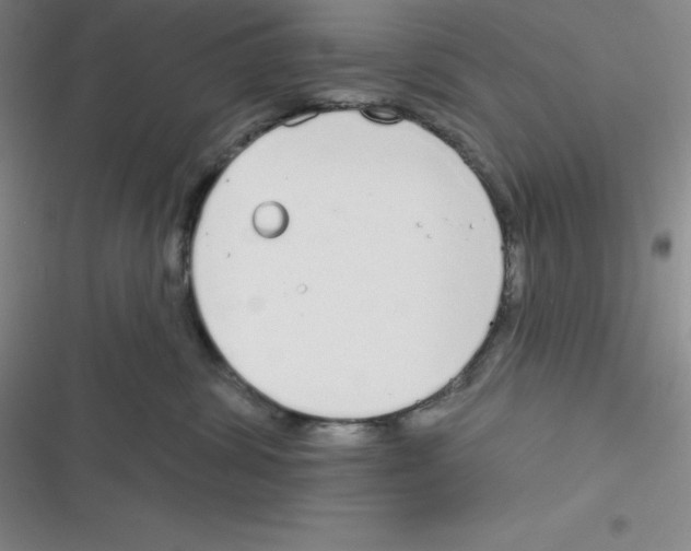 X0000116830428201001081441