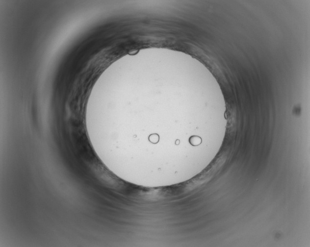 X0000116830430201001081441