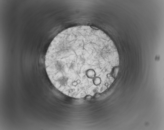 X0000116830432201001081441