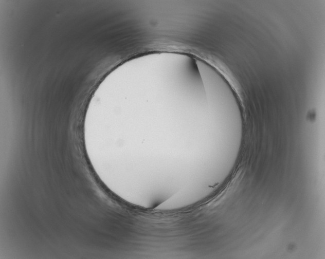 X0000116830433201001081441