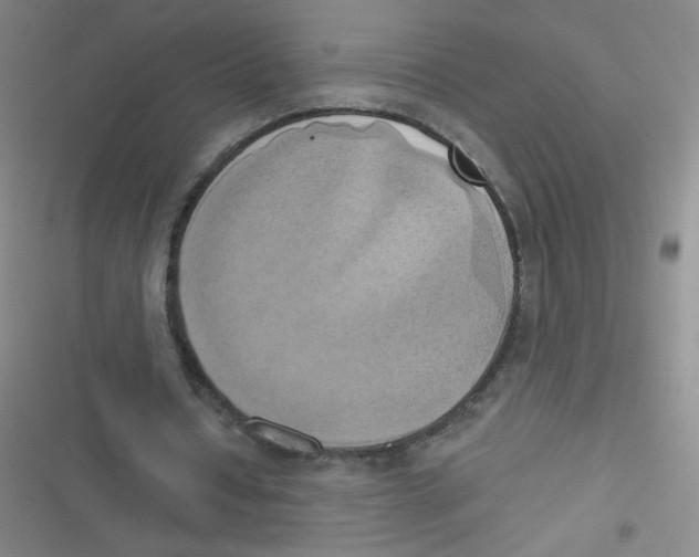 X0000116830434201001081441