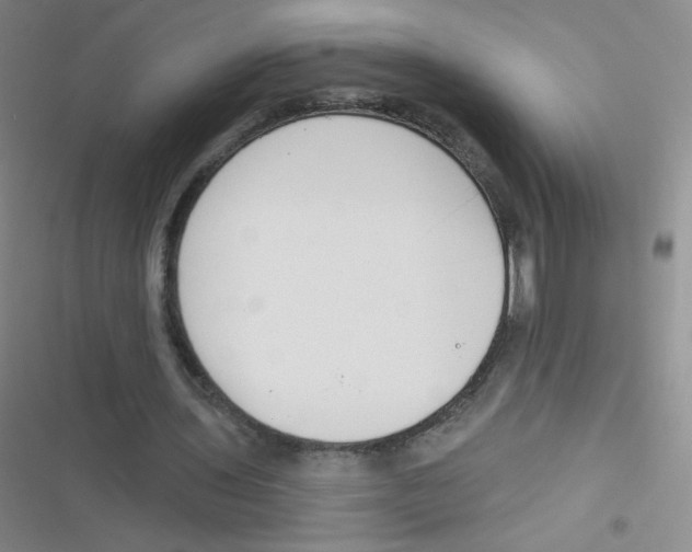 X0000116830435201001081441