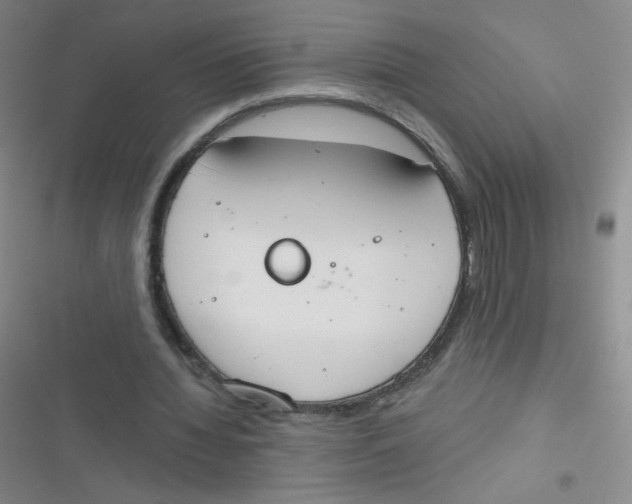 X0000116830436201001081441