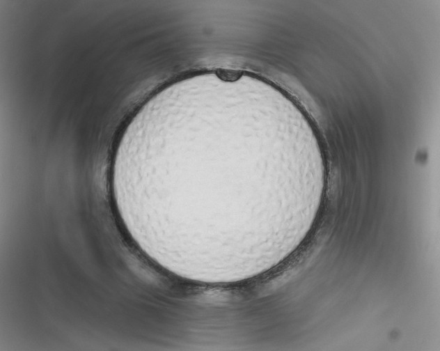 X0000116830441201001081441