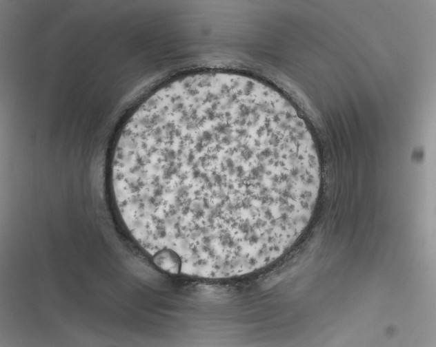 X0000116830442201001081441