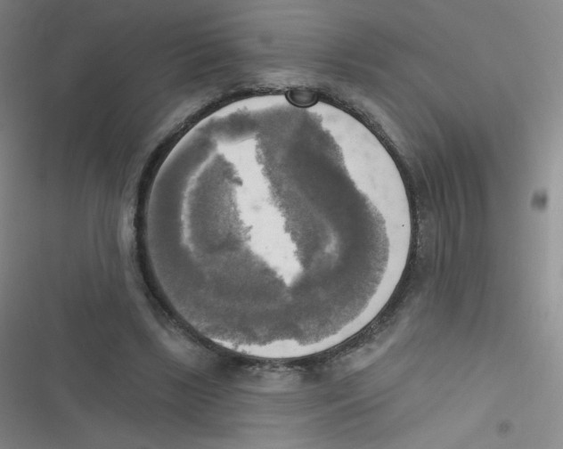 X0000116830443201001081441