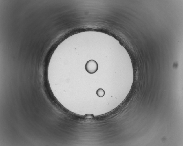 X0000116830444201001081441