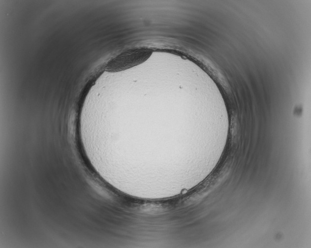 X0000116830445201001081441