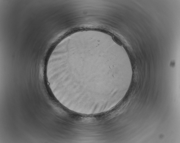 X0000116830446201001081441