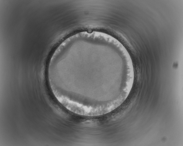 X0000116830447201001081441