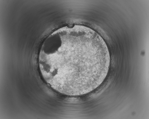 X0000116830449201001081441