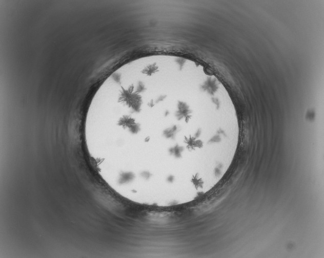 X0000116830450201001081441