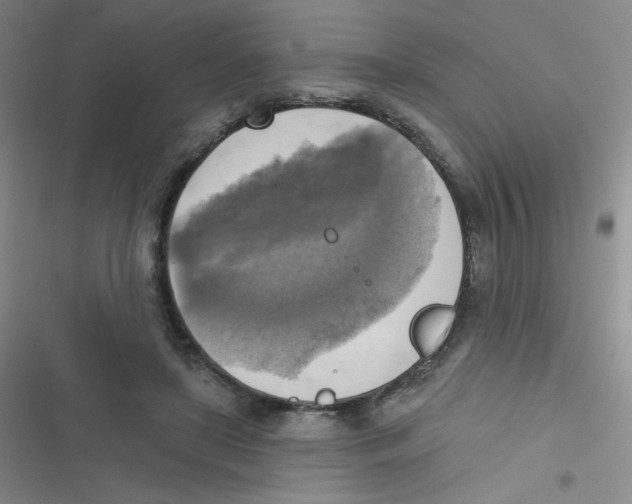 X0000116830451201001081441