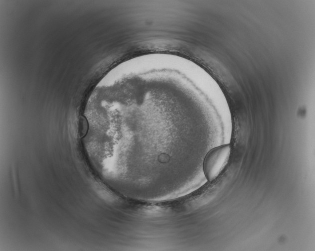 X0000116830453201001081441