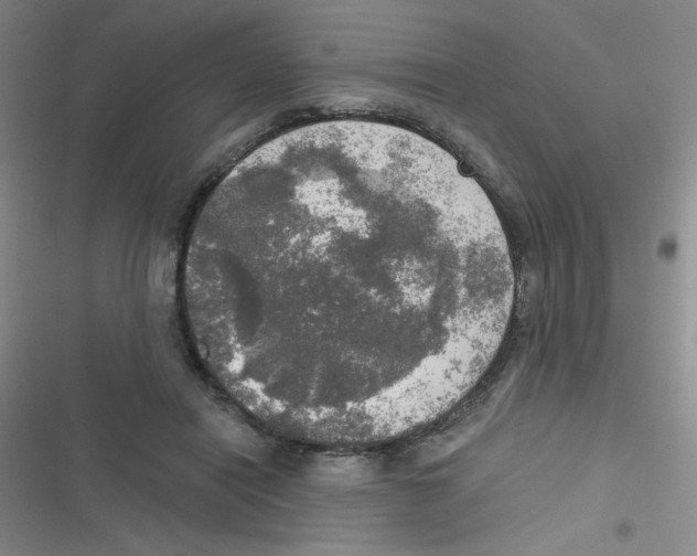 X0000116830454201001081441