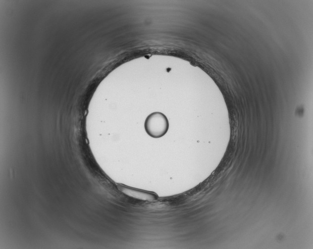 X0000116830456201001081441