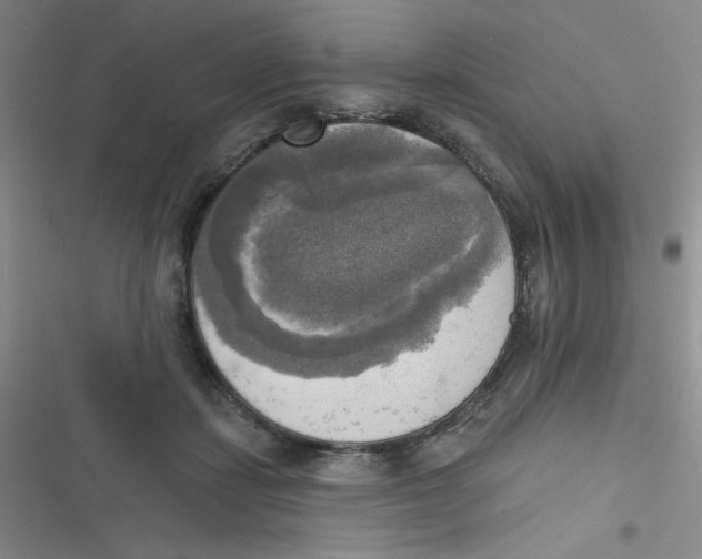 X0000116830459201001081441