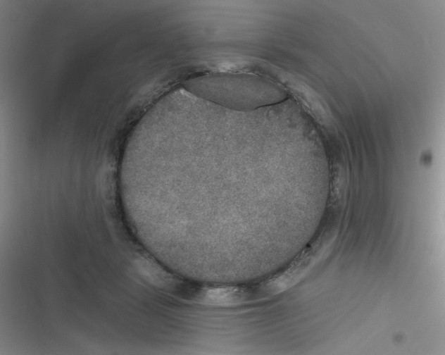 X0000116830461201001081441