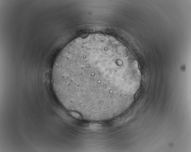 X0000116830462201001081441