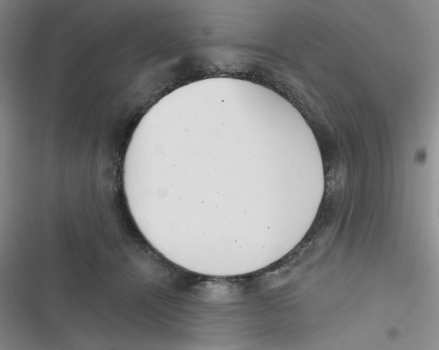 X0000116830464201001081441