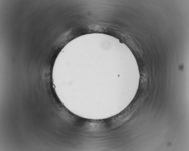 X0000116830466201001081441