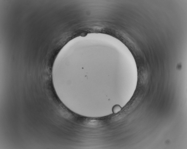 X0000116830467201001081441