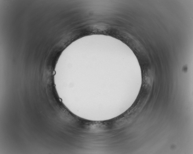 X0000116830468201001081441