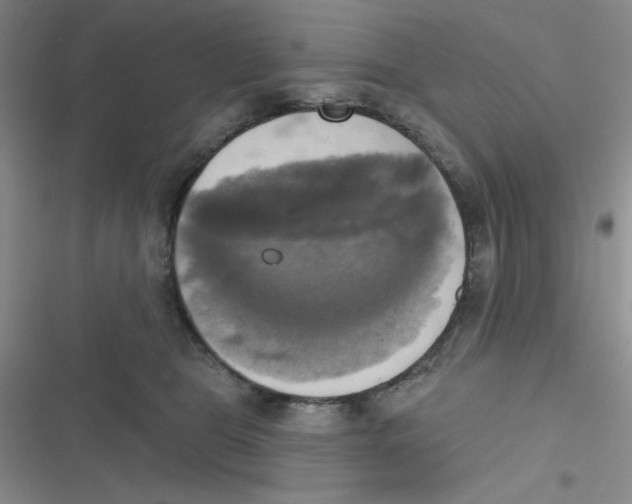 X0000116830469201001081441