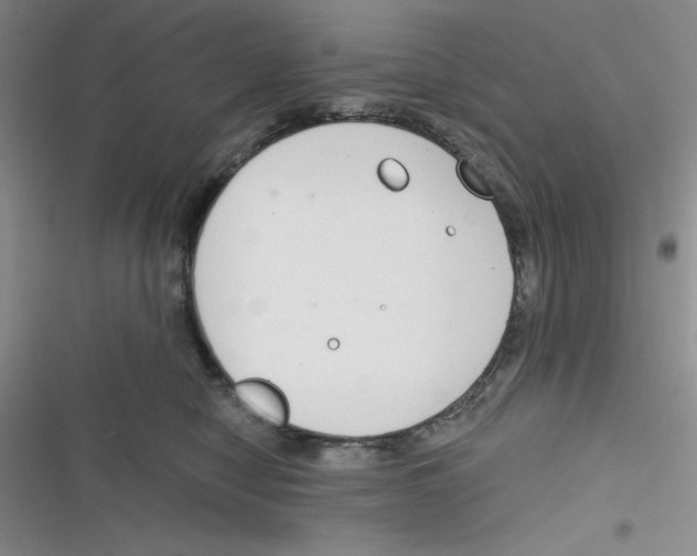 X0000116830470201001081441