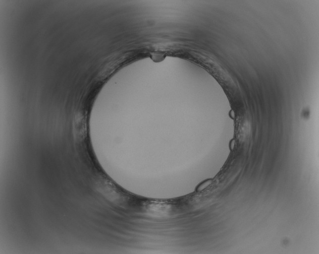 X0000116830471201001081441