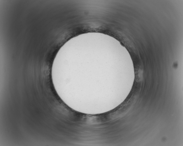 X0000116830472201001081441